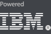 Клуб топ-менеджеров 4CIO.ru | Powered by IBM Server