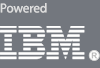 Клуб топ-менеджеров 4CIO.ru | Powered by IBM Server